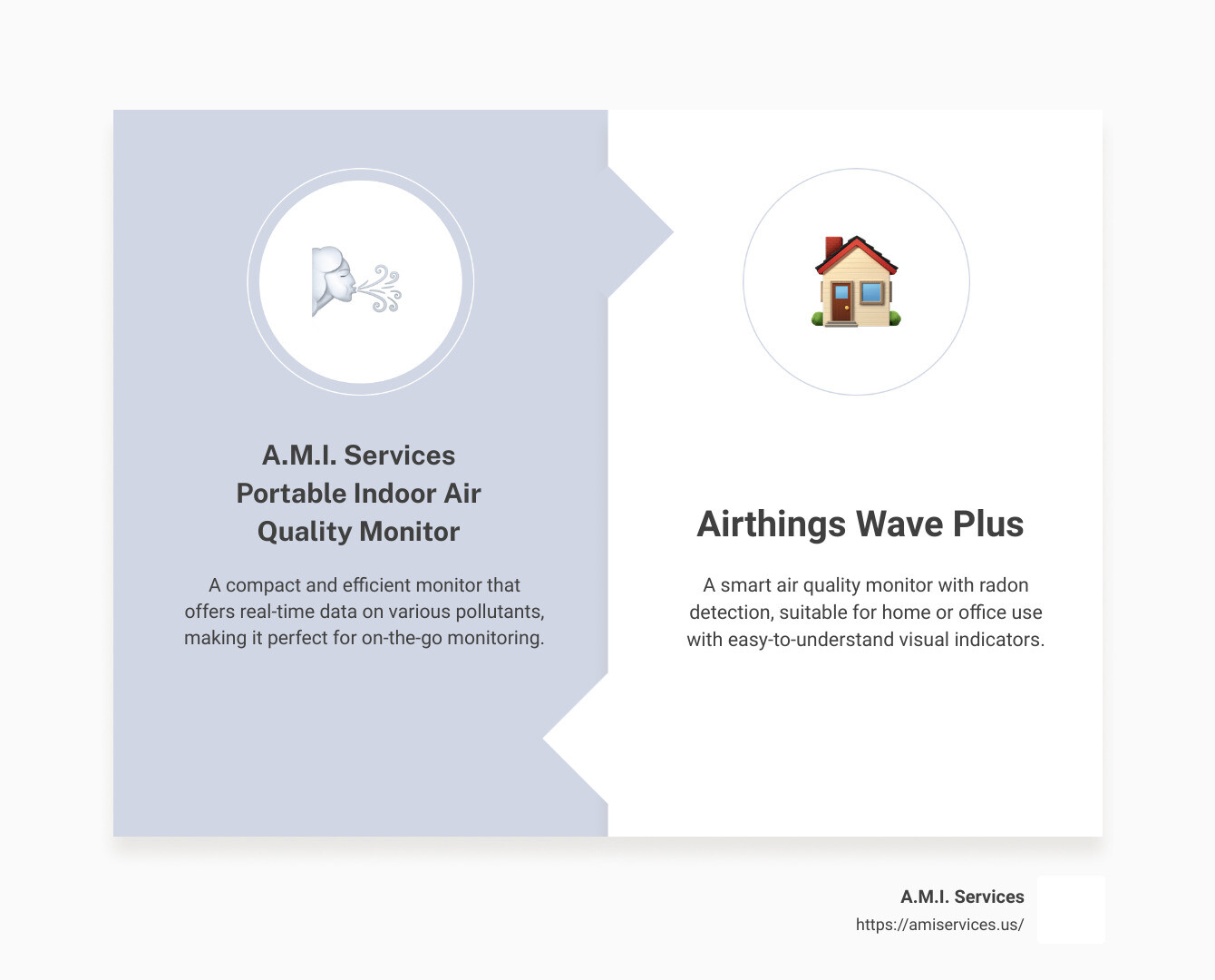 Portable Indoor Air Quality Monitors - Portable Indoor Air Quality Monitor infographic comparison-2-items-formal
